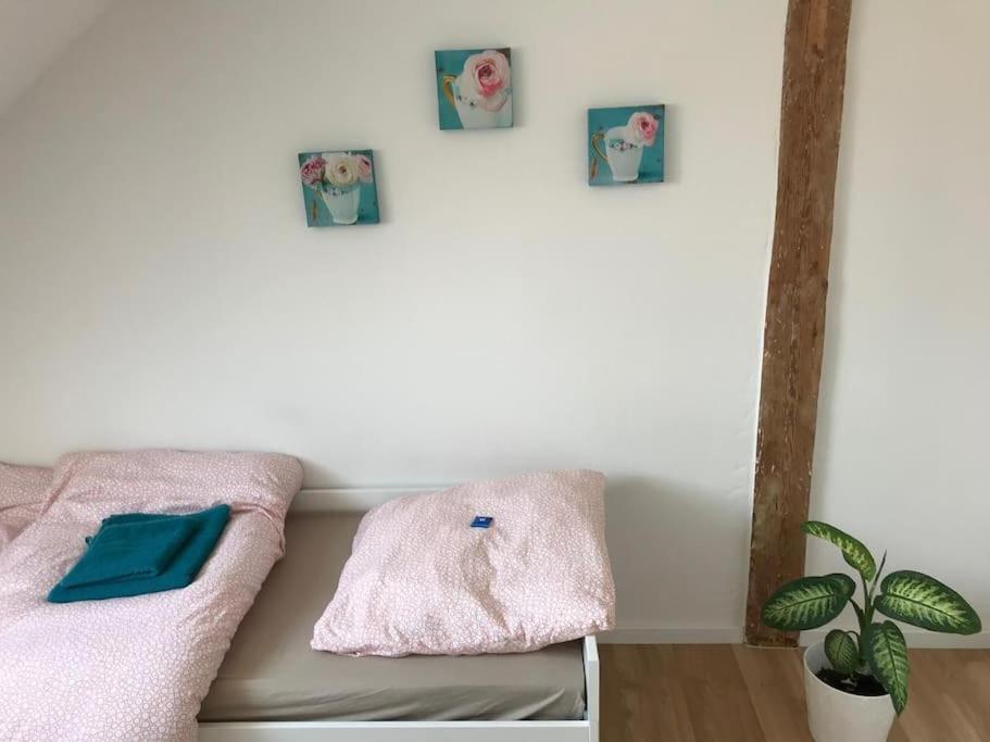 Zentrum, Helle Und Ruhige Moeblierte Dg-wohnung Zwischen Steintor Und Uni